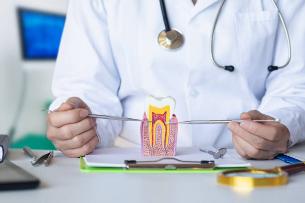 Best Mobile Emergency Dentist in Interlaken, CA